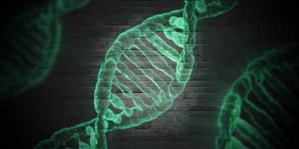 4_façons_dont_les_résultats_des_tests_de_paternité_peuvent_être_erronés