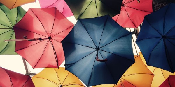 Création_d_une_Start_up_d_assurance_pour_les_entrepreneurs 