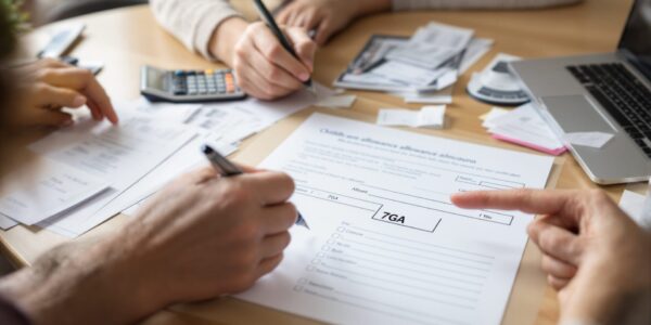 déclaration nourrice impot